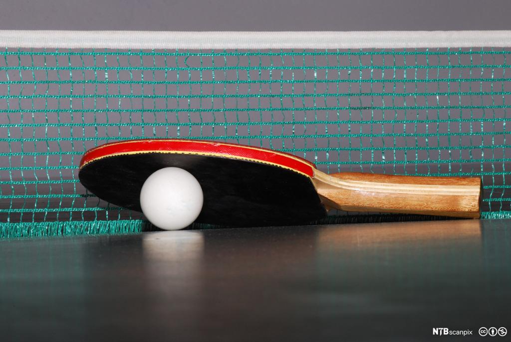 Nærbilde av bordtennisrekkert og bordtennisball. Foto.