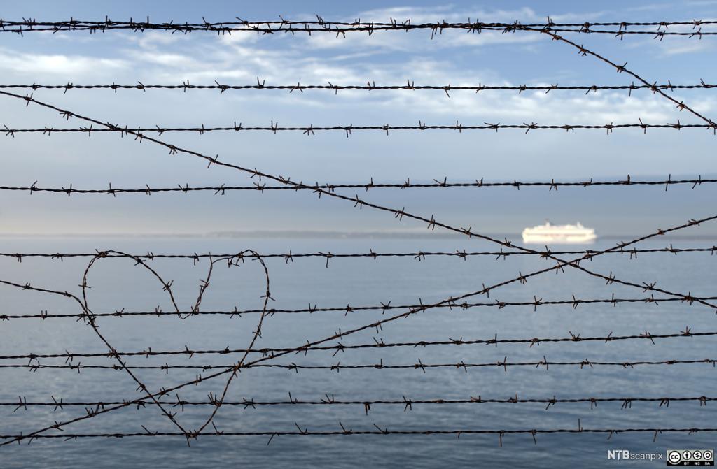 Barbed wire fence where a wire is shaped like a heart. Photo.