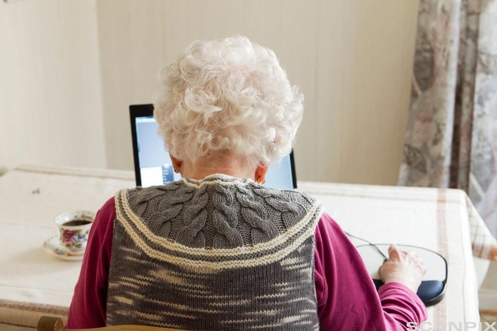 Bilete av ein pensjonist med datamaskin.