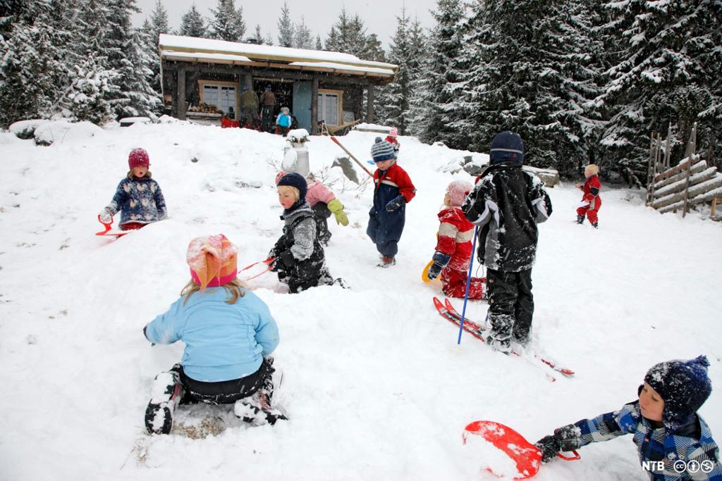 Mange barn i barnehagealder i frilek ute i snøen. Foto.  