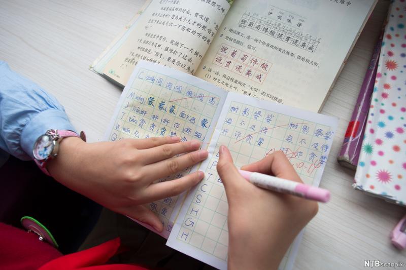Hånd skriver kinesiske tegn i øvelsesbok. Foto.