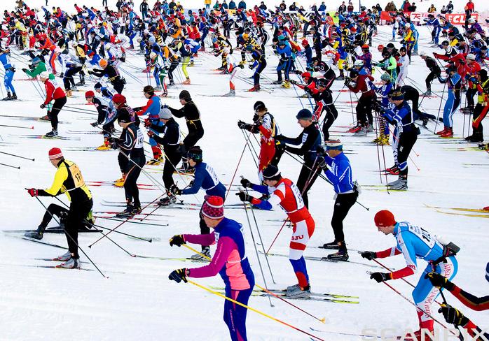 Birkebeinerrennet. Mange skiløpere går på ski i samla flokk. Foto.