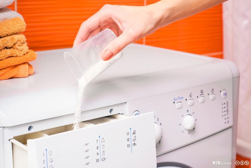 Kvinne hell vaskepulver i vaskemaskin. Foto.