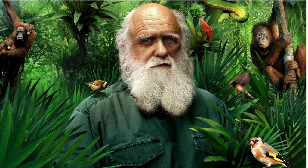 Tegning av Darwin omgitt av mange dyr i en jungel. Illustrasjon.