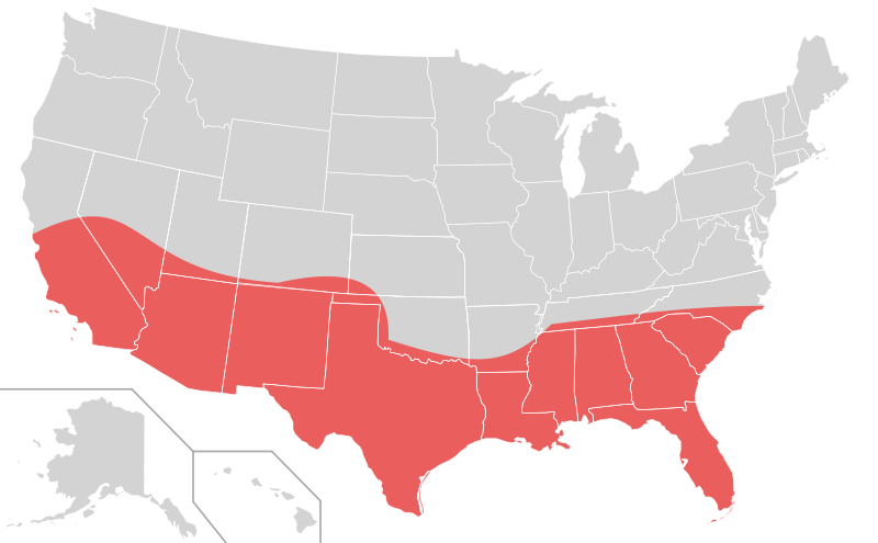 The Sunbelt States