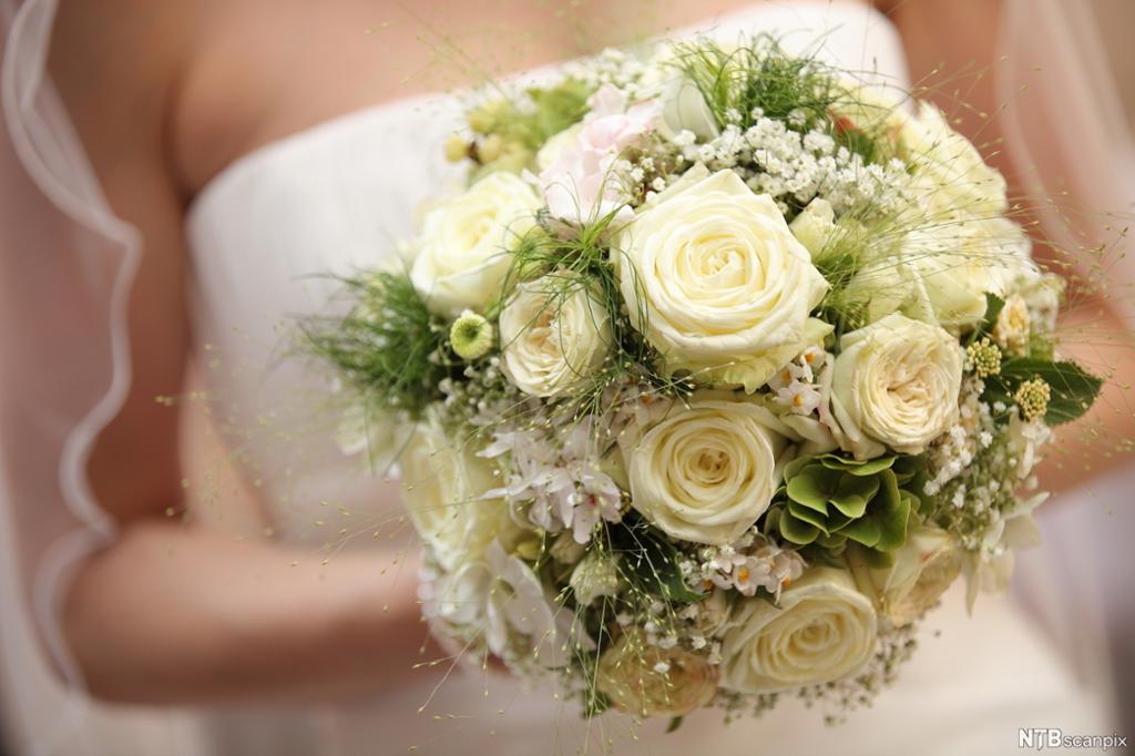 Brudebukett med hvite roser. Foto.