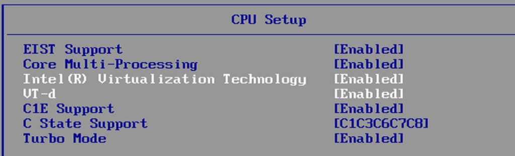 Liste med prosessorfunksjoner hvor funksjonene Intel Virtualization Technology og VT-d er aktivert. Skjermbilde 