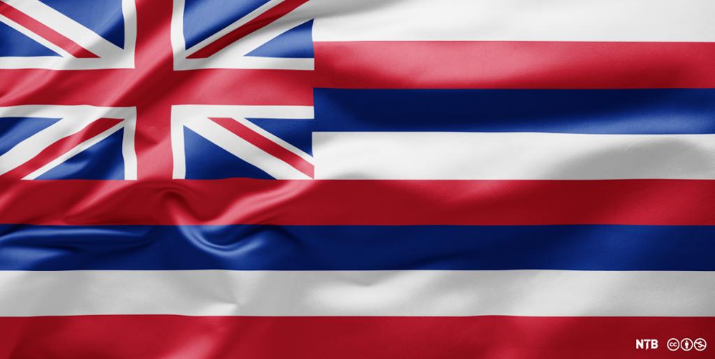 State flag of Hawaii. Illustration.