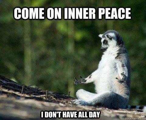 Mem med foto av en vaskebjørn med utstrakte armer. Over står teksten: "Come on inner peace", og under står teksten "I don't have all day". Illustrasjon.