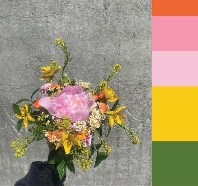Foto av brudebukett og fargepalett med farger fra blomstene. Illustrasjon.