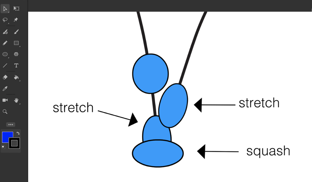 Arbeidsvindu i Animate som viser en blå runding på ei svart linje til venstre. Lenger ned på linja er det en blå, stående oval og nederst en blå, liggende oval. På ei svart linje som går opp til høyre, er det en blå, stående oval. En pil går fra ordet "stretch" til de to stående ovalene, og en pil går fra ordet "squash" til den liggende ovalen. Skjermbilde.