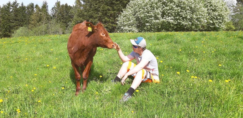 Gut sit i graset og klappar ein kalv i ei grøn eng. Foto.