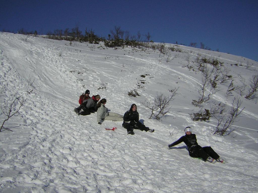 Ungdommer som aker på snøen. Foto.