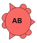 Rød blodcelle med A og B på overflaten.