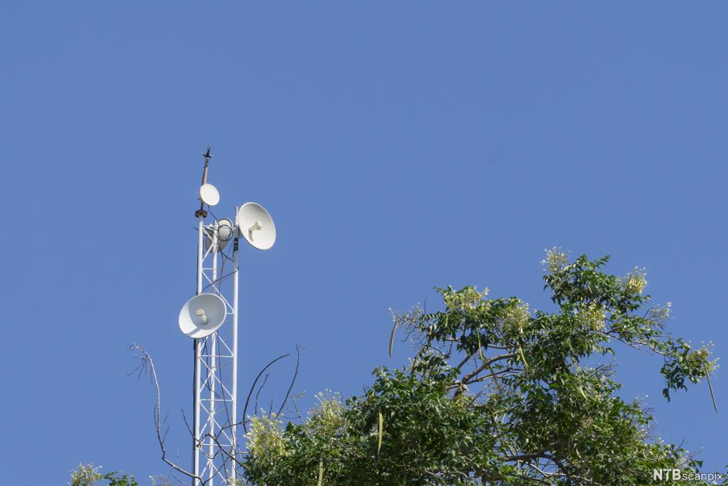 Ei radiomast med fire antenner med reflektorar som peikar i ulike retningar. Foto.
