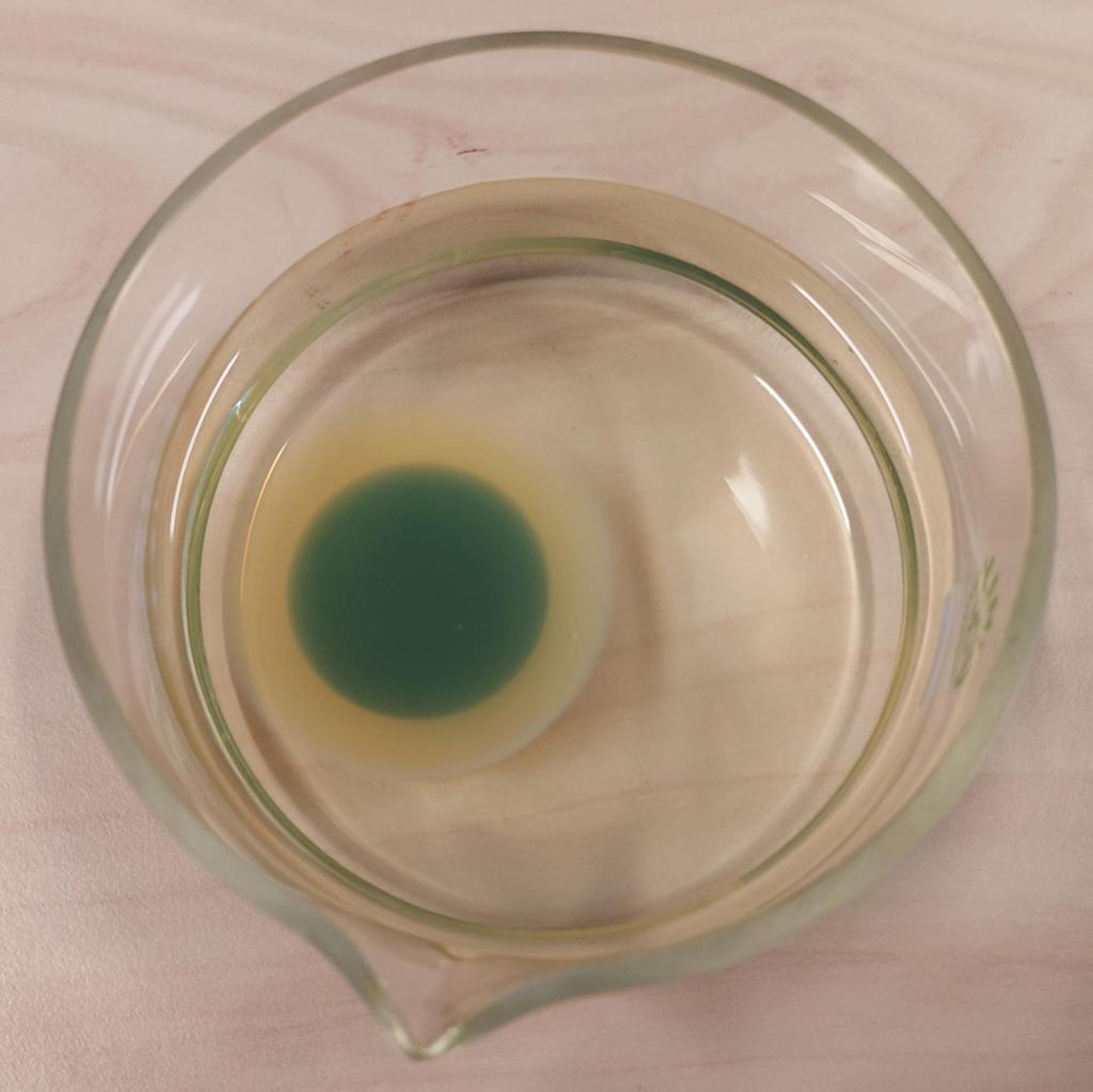 Sirkulær struktur med grønt felt ligger i væske i et glass. Foto.