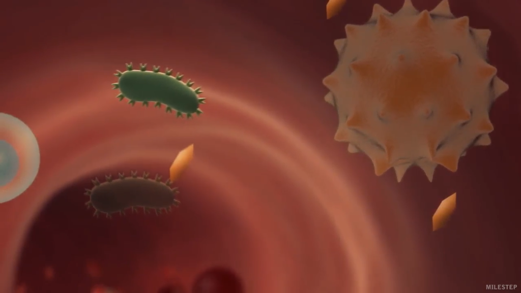 Skjermdump fra videoen Immunforsvaret
