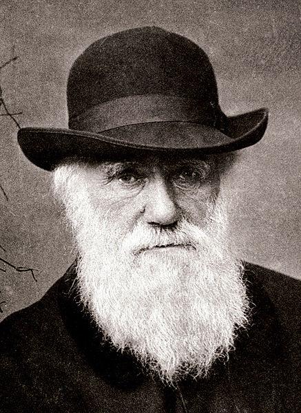 Portrett av Charles Darwin. Illustrasjon.