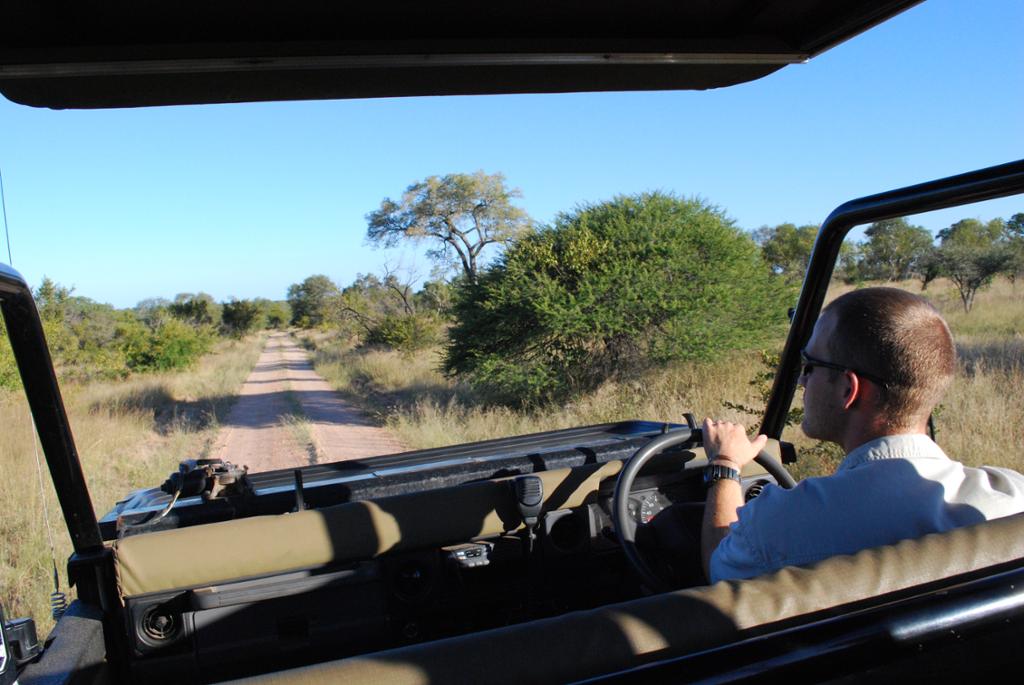 Safari driver in South Africa