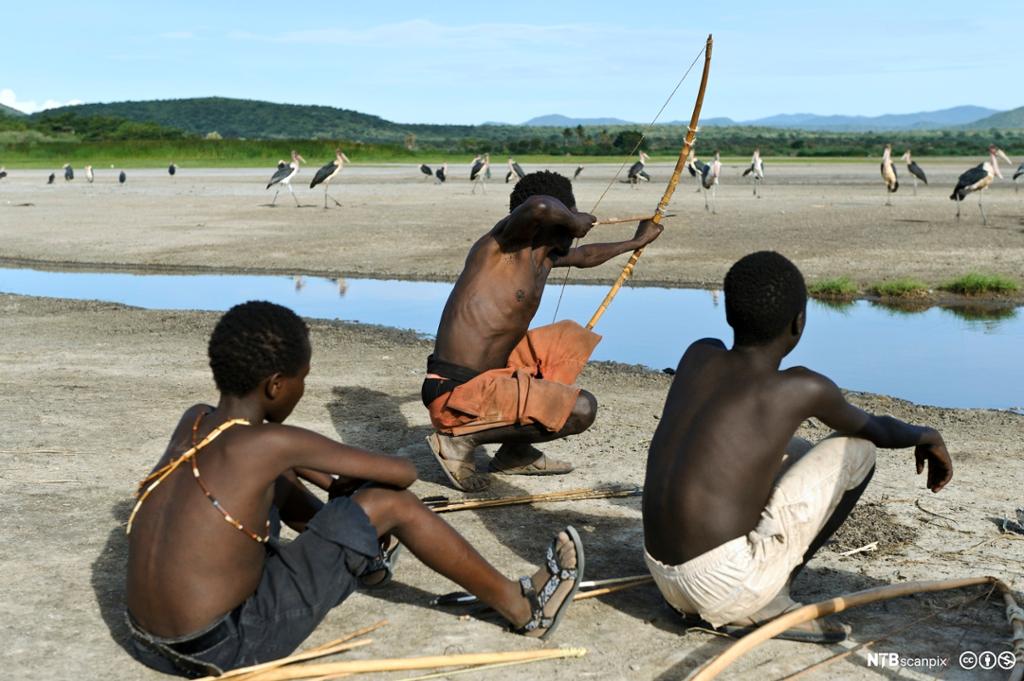 Menn fra Hadza-stammen i Tanzania jakter på stork. Foto.