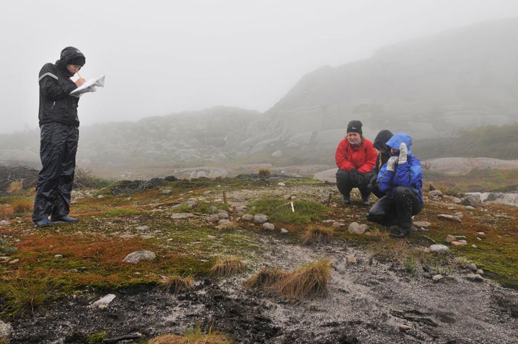 Ekskursjon i et tåkete fjellandskap. En elev står og noterer noe, mens  tre andre sitter på huk i nærheten. Foto