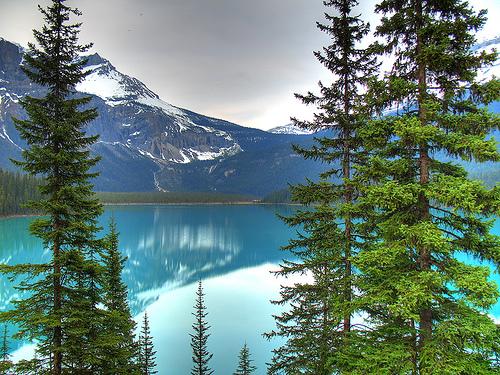 Emerald Lake, British Columbia. Photo.