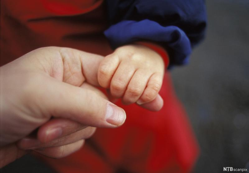 En liten barnehånd holder rundt pekefingeren til en voksen. Foto.
