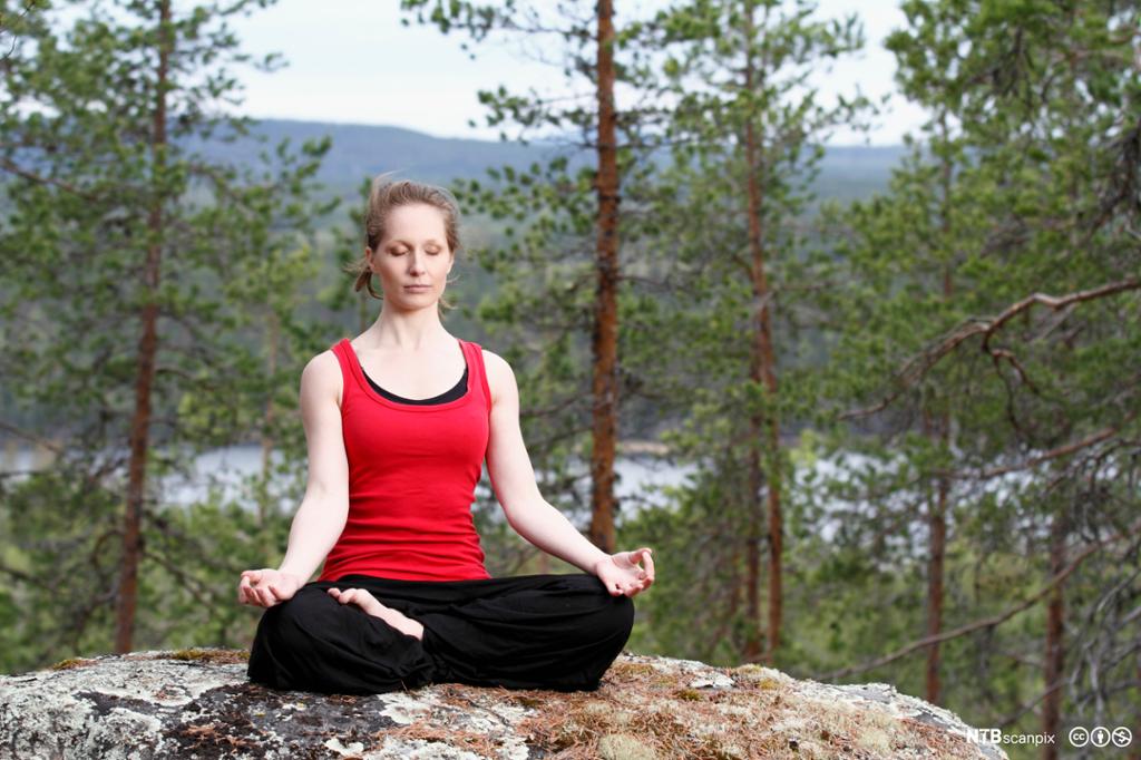 Kvinne sit og mediterer i skogen. Foto.