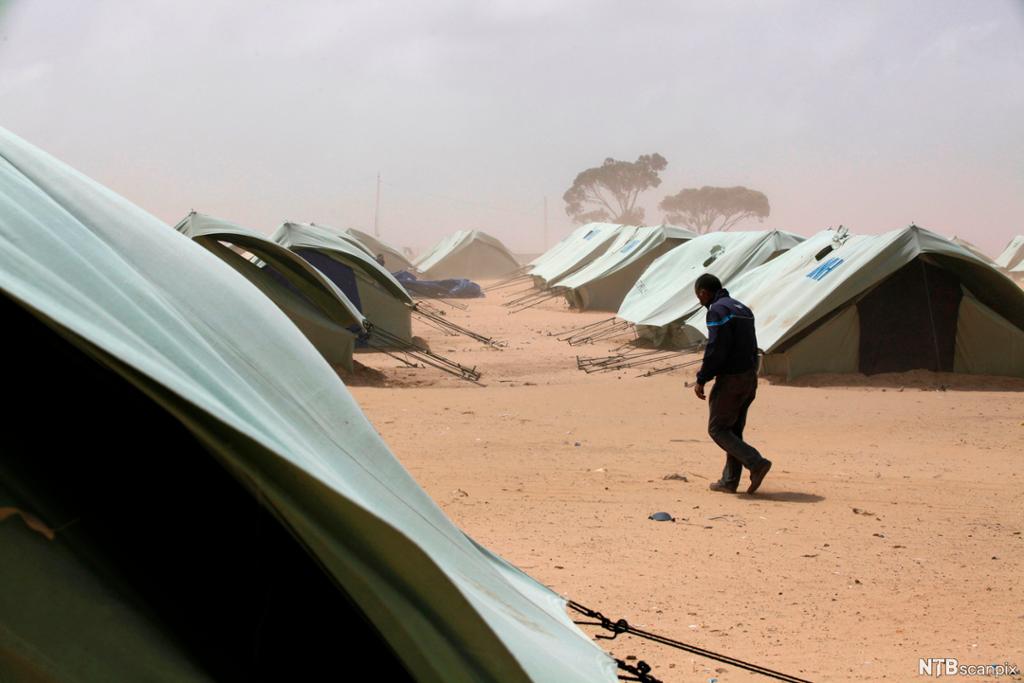 Mann går mellom rader av telt i ørken. Foto.