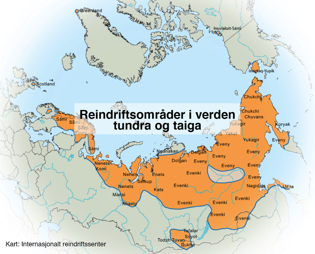 Kart der reindriftsområde i Noreg, Sverige, Finland, Russland og Nord-Amerika er markerte. Dei største områda er i Russland. Illustrasjon.
