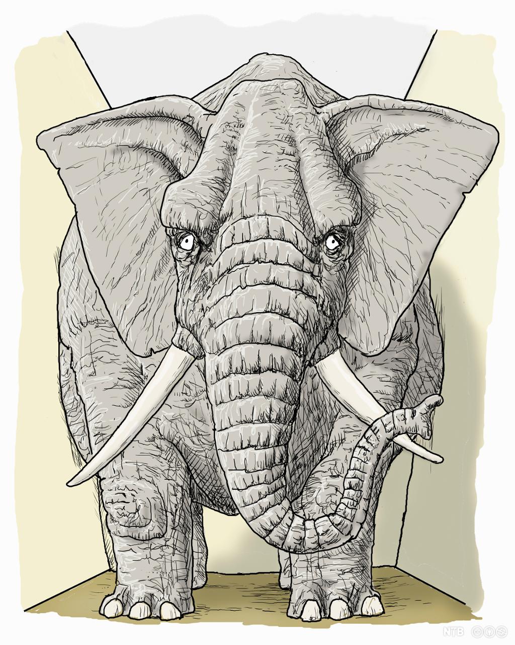 A large elephant in small room. Illustration.