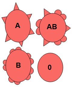 Blodtypene A, B, AB og 0. Illustrasjon.