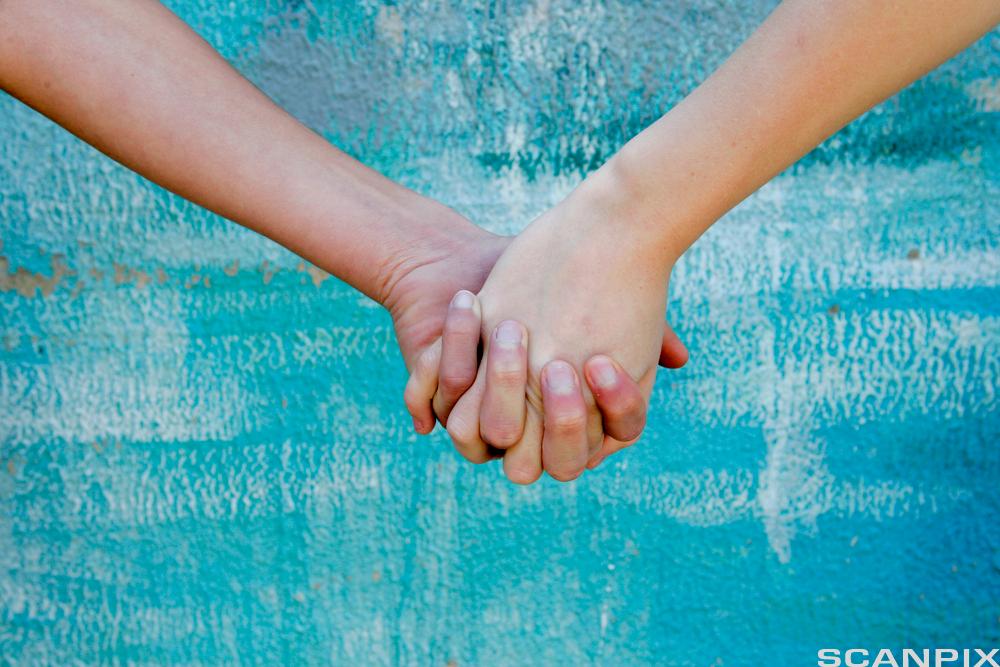 Nærbilde av underarmer og hender til to personer. Hendene deres er knytta sammen.  Foto.