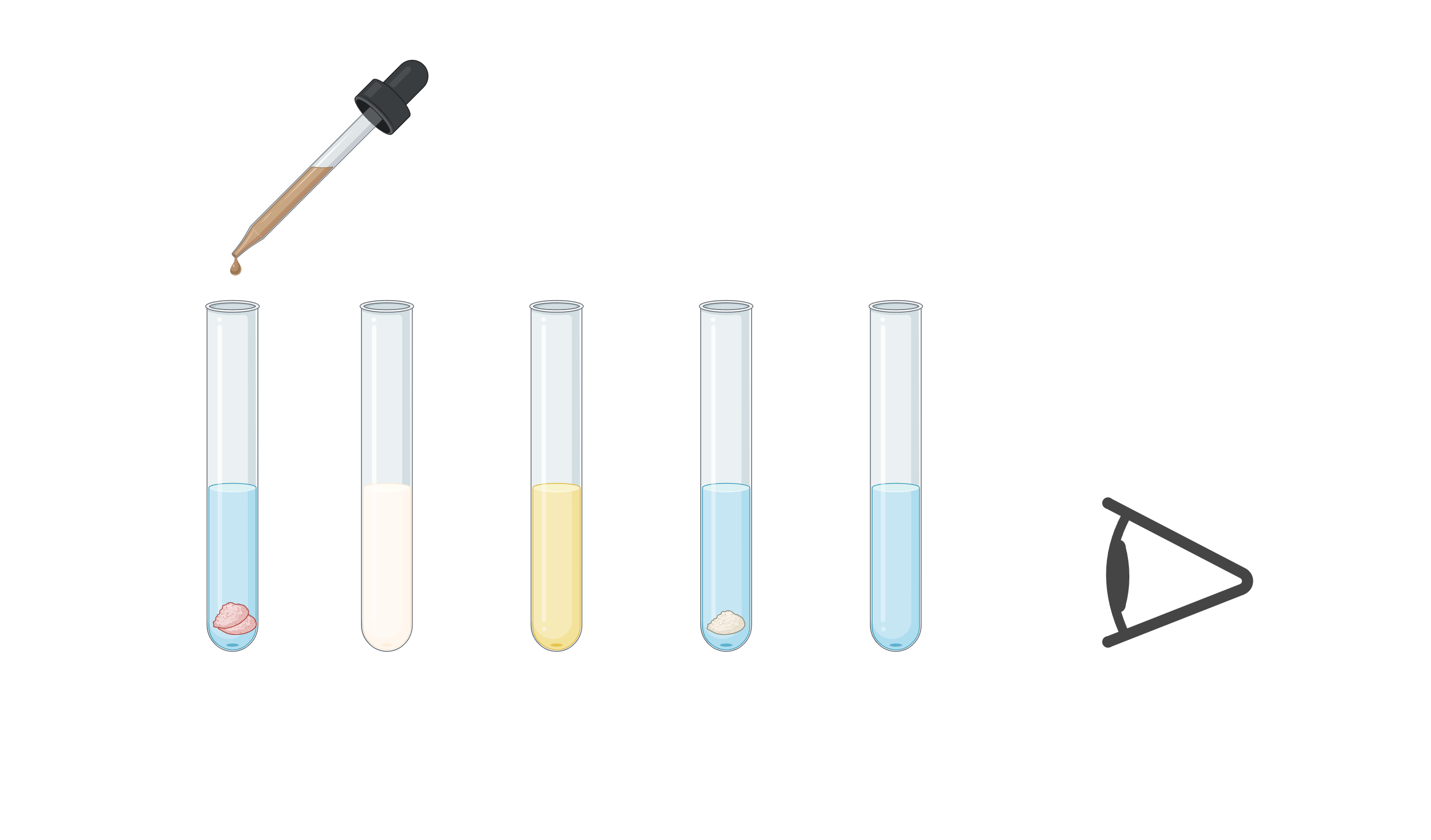 Fors k P visning Av Karbohydrater Naturfag EL NDLA