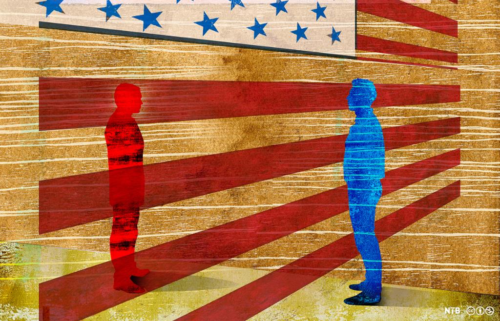 Illustration: A red man and a blue man divided by an American flag. The background is brown. 