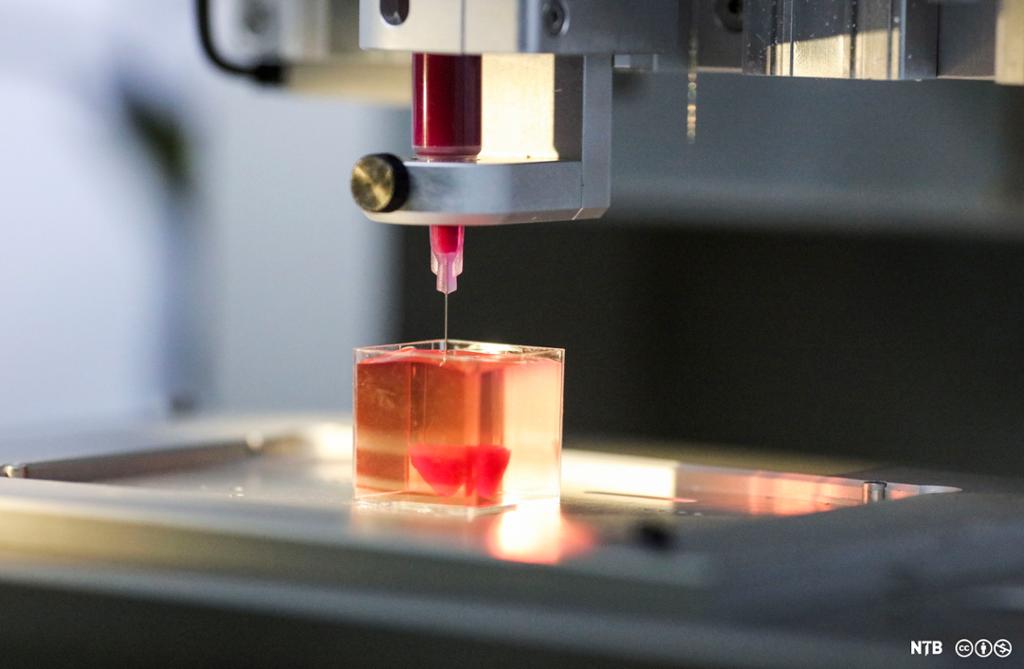 En 3D-skriver med tynn nål bygger med celler. Foto.