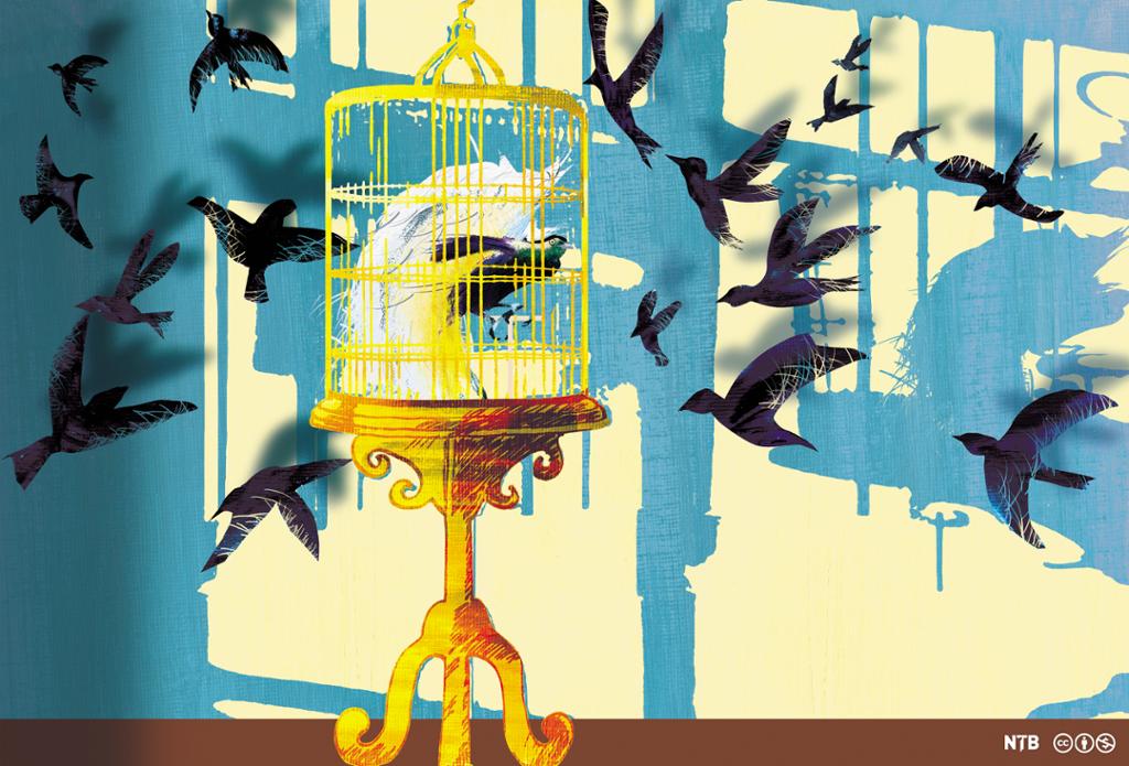 Illustration: We see a bird in a gilded cage, and many other birds flying around it. 