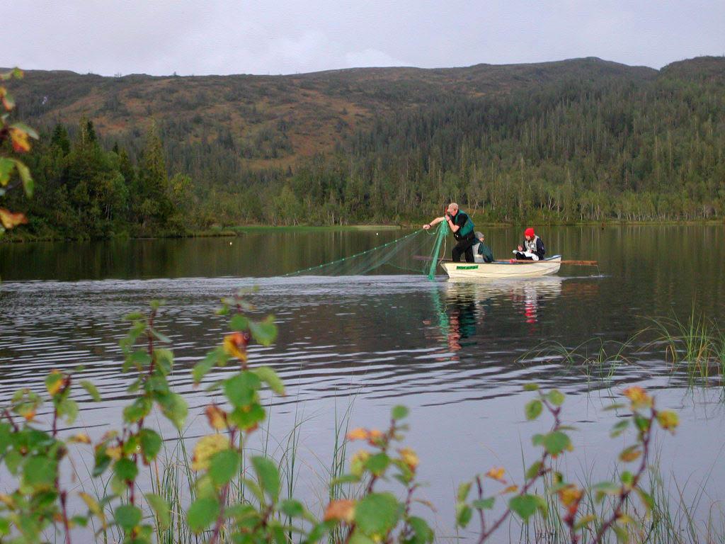 Golme almetjh viermieh jadtehteminie. Guvvie.