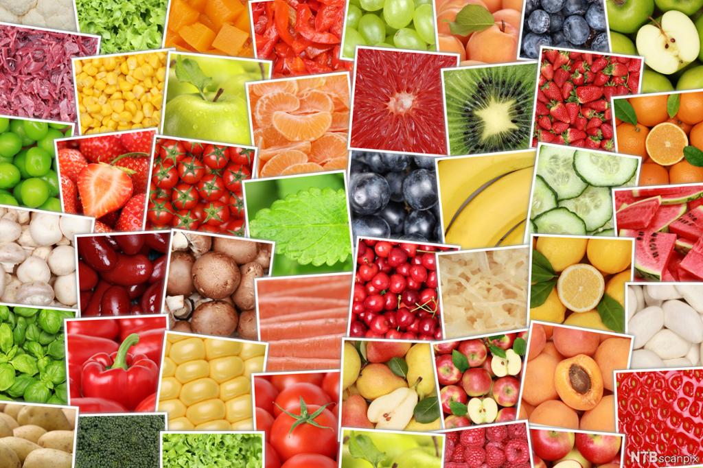 Kollasj som viser et bredt utvalg av frukt, bær og grønnsaker. Foto.  
