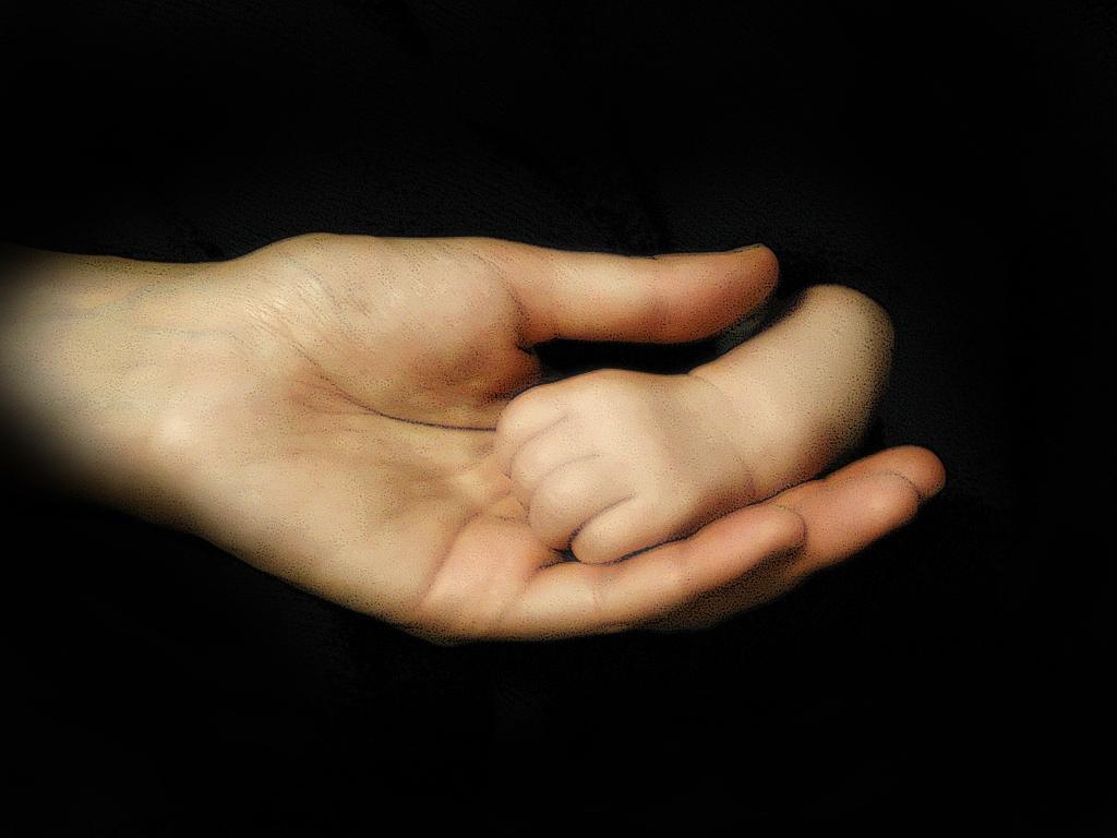 Photo: We see two hands against a black background. The hand of an adult, and inside it the tiny hand of a baby. 