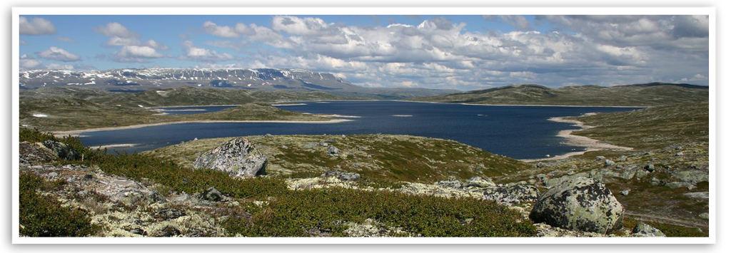Hardangervidda. Foto.