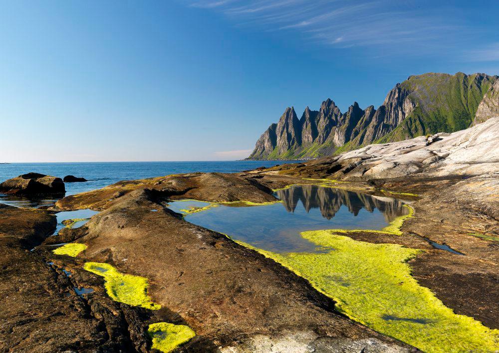 Kystlandskap med algevekst i brakkvann. Foto.