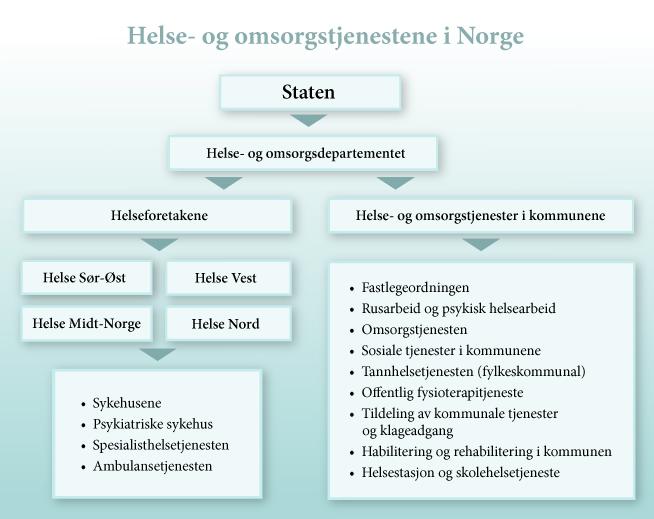 Bilde av en modell som viser hvordan helse- og omsorgstjenester er organisert i norge