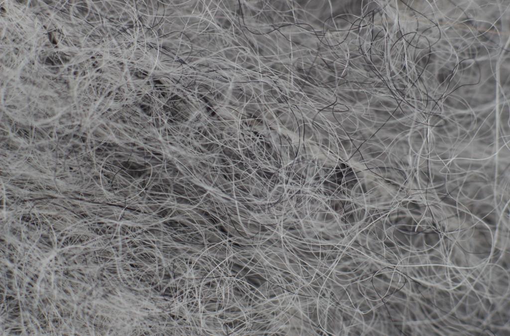 Grå og sorte fibrer i alpakkagarn. Foto.