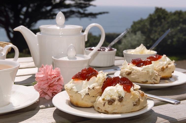 A table set for a cream tea outdoors, a pink flower on the table.  