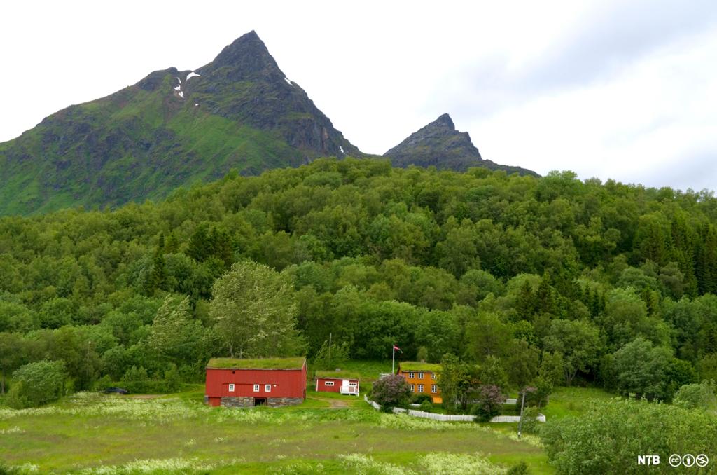 En gård med skog bak. Låven og stabburet er rødmalt, og huset er okergult med grønt gras på taket. Foto.