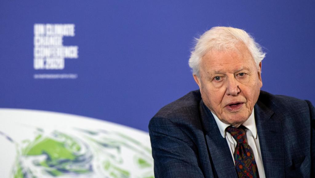 David Attenborough i mørk dress. Han er plassert foran et bilde av jorda og klimakonferansens logo. Foto.