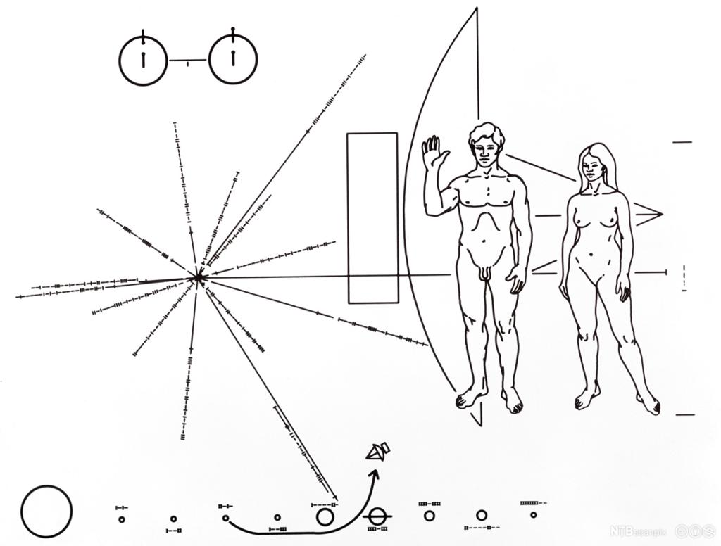 En naken mann og en naken kvinne. Diverse symboler. Tegning.