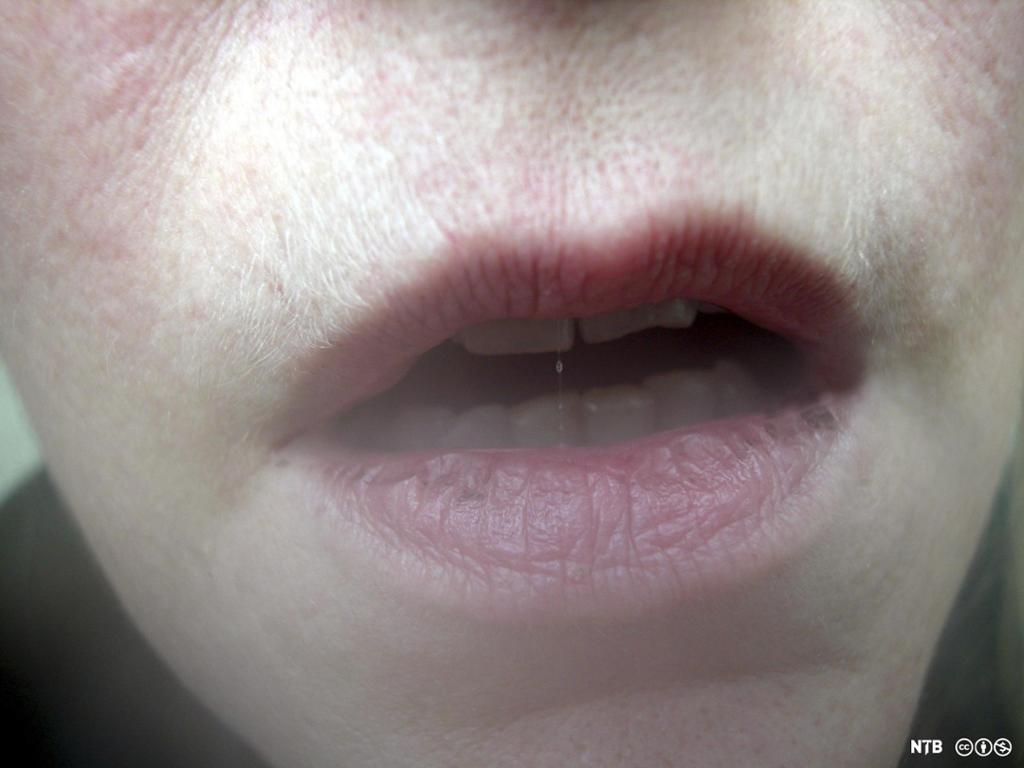 Nærbilde av en halvåpen munn. Foto.