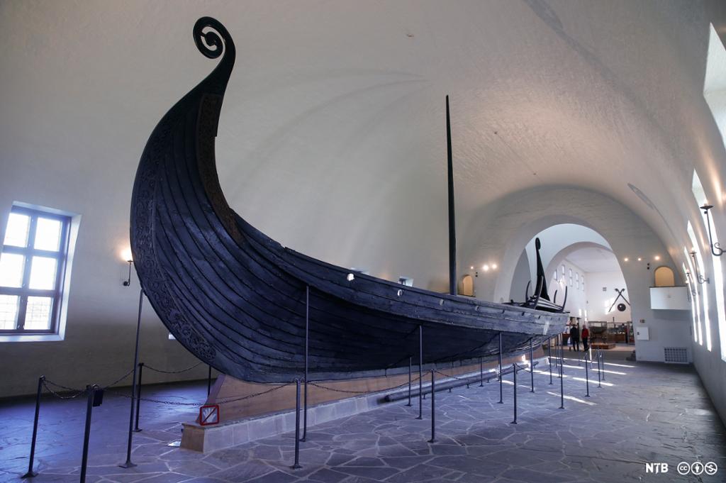Vikingskip i mørkt tre utstilt i ein hall med kvite veggar og bogeforma tak. Framstamnen på skipet er dekorert med treskjeringar og endar opp i ein kveil. Foto. 